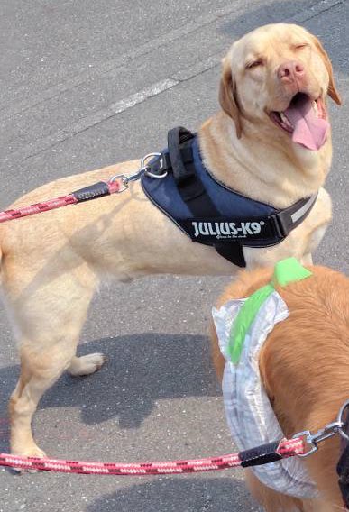 ムタプン tweet media