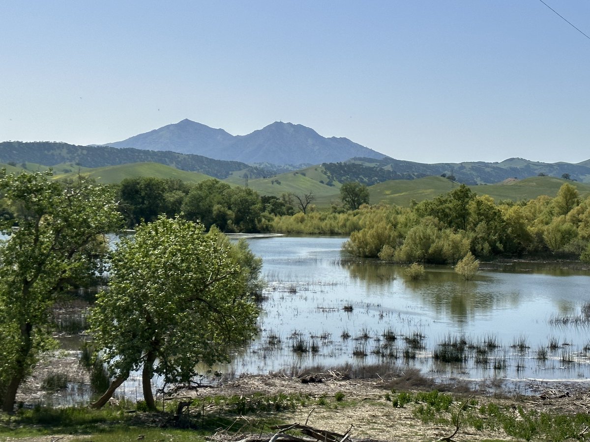 AnitaSamore tweet media