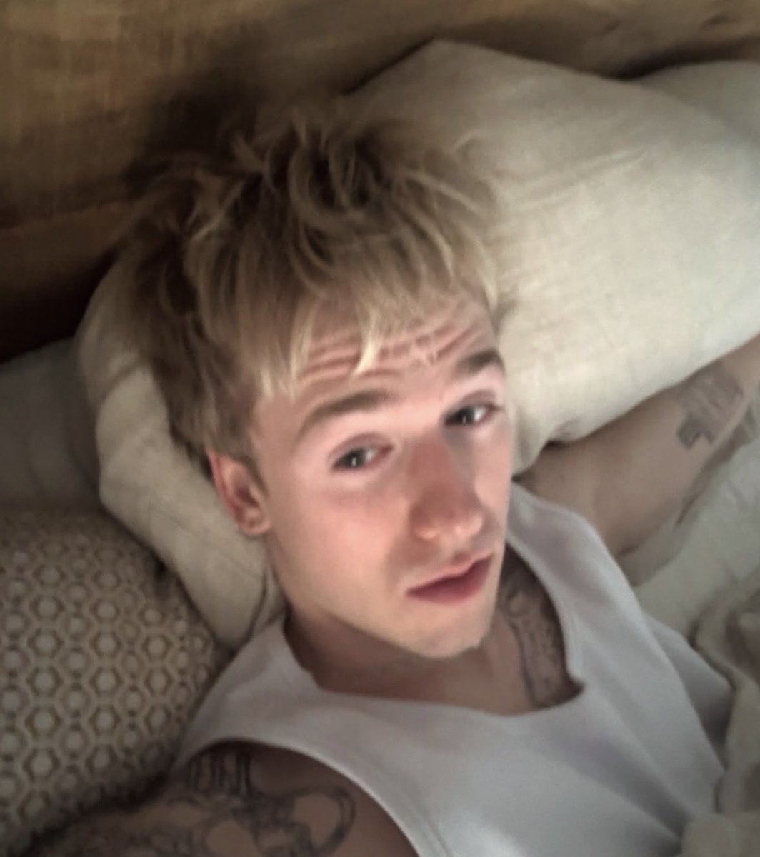 TurtleHype tweet media