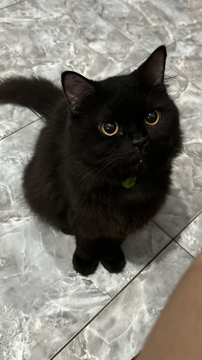 syee 🧃 tweet media