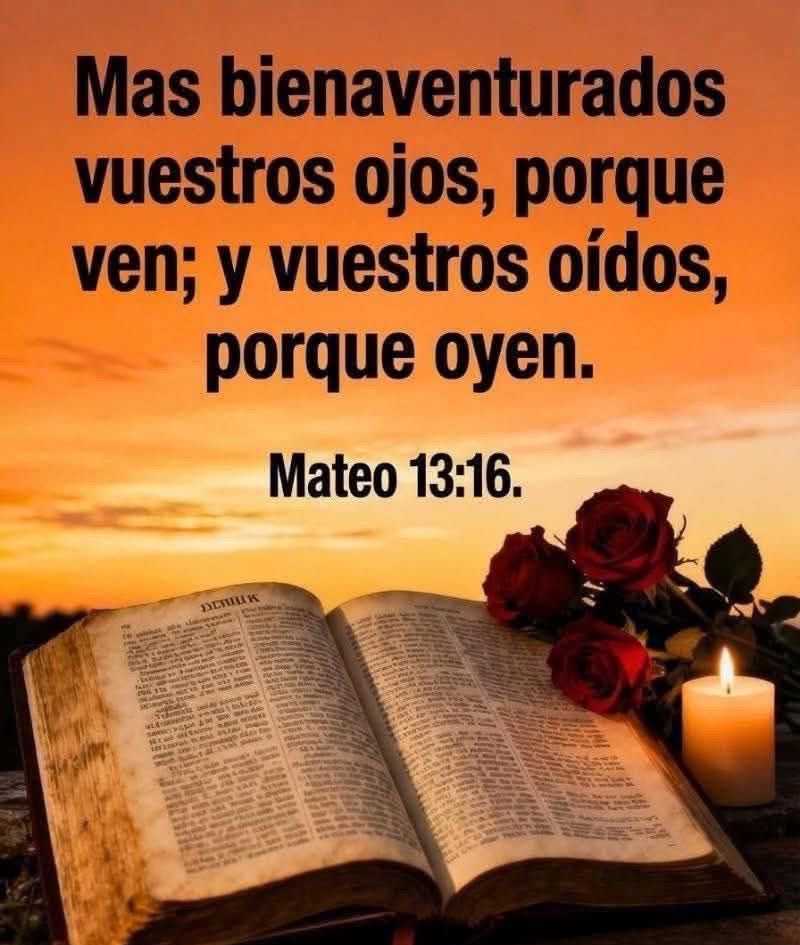 Yenny torres tweet media