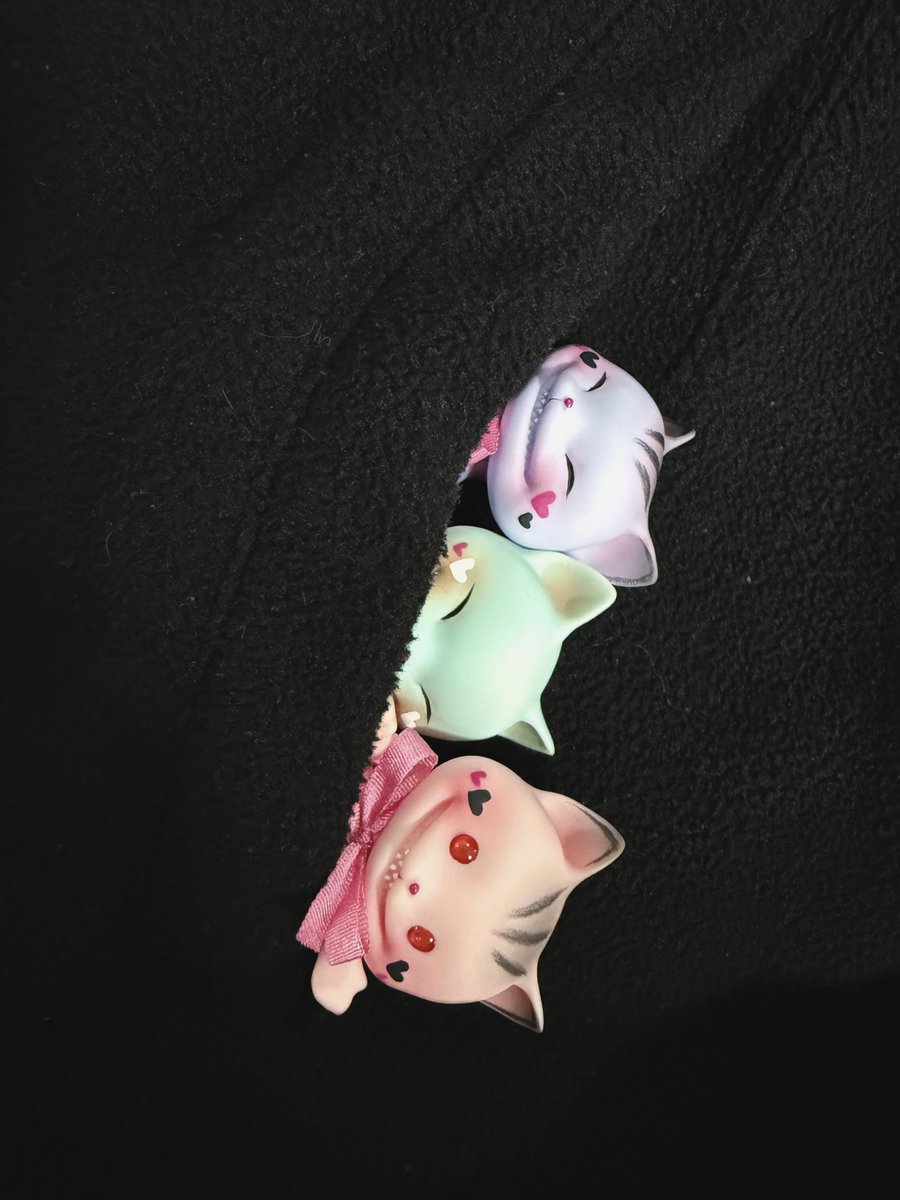 PIPOSDOLL 피포스돌 tweet media