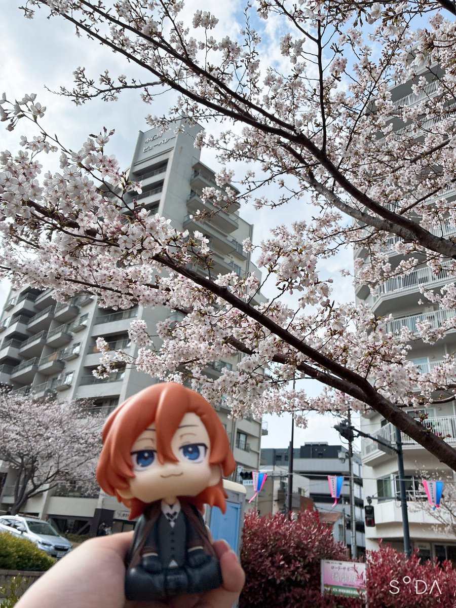 こゆき tweet media