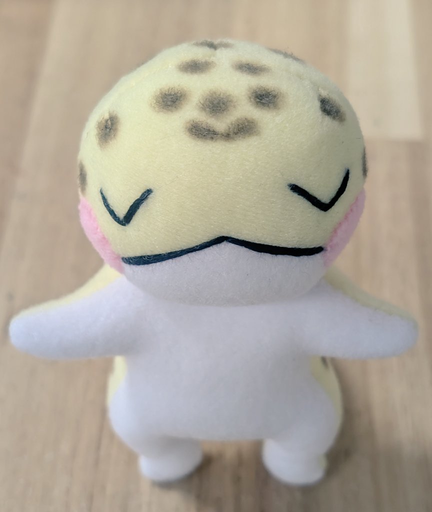 皎月院空狐 tweet media