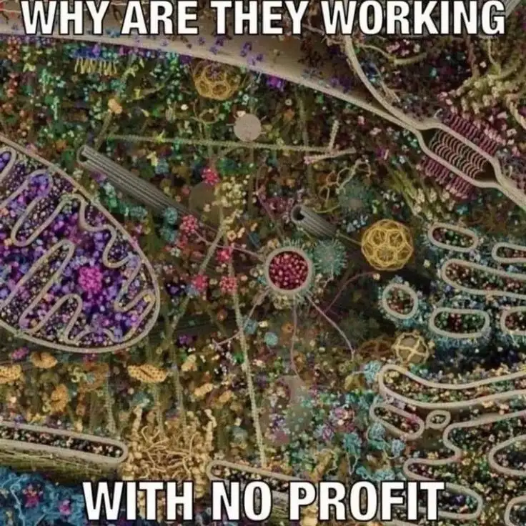 🇵🇸 All 🇵🇸 Nazis 🇵🇸 Are 🇵🇸 Nonces 🇵🇸 tweet media