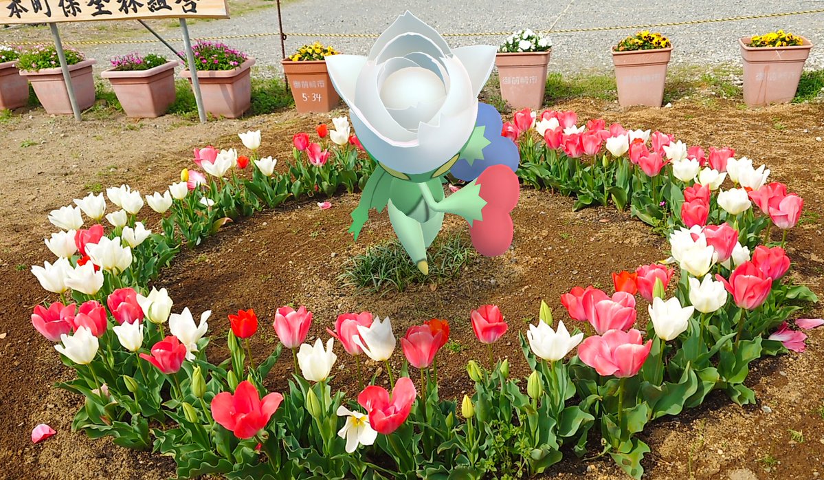 SILVETAN's tweet image. フェアリーサークル

#ARofTheDay
#PokemonGO 
#GOsnapshot
#GOsnapshotCelebration