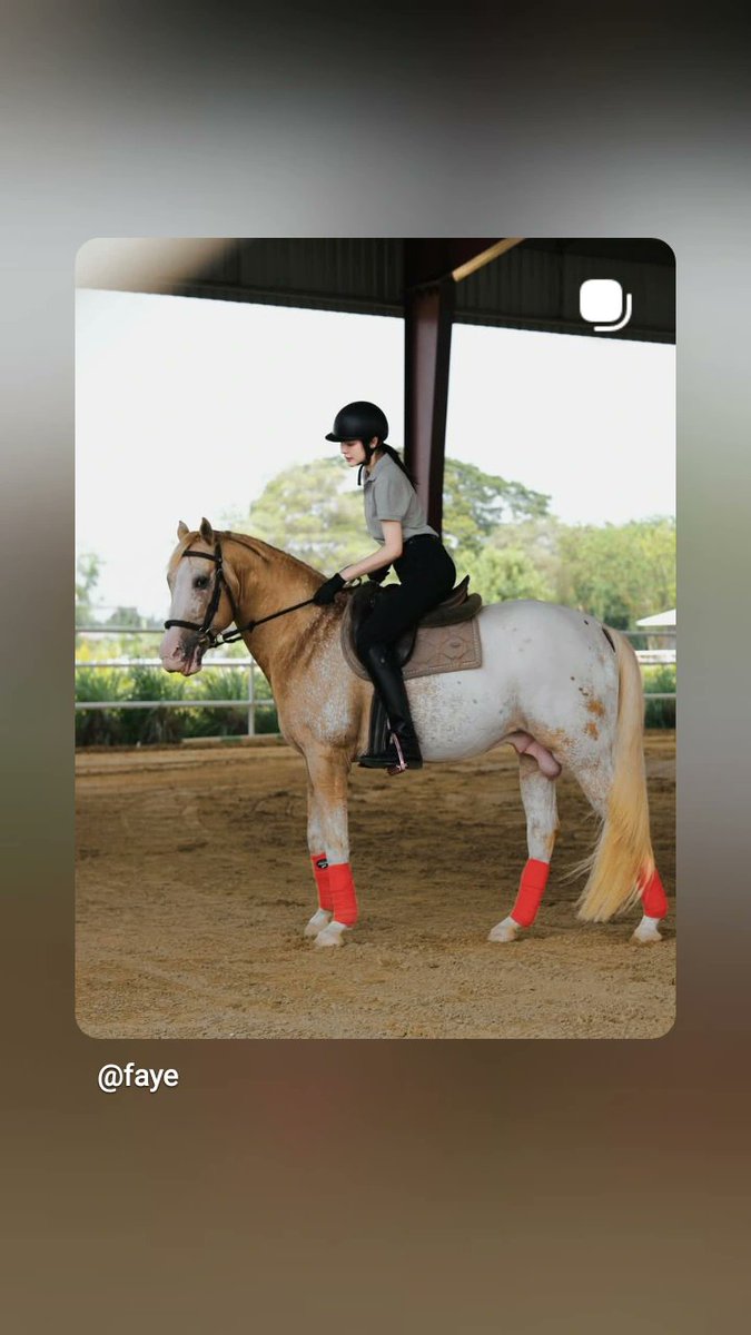 Faye Atom Argentina 🇦🇷 tweet media