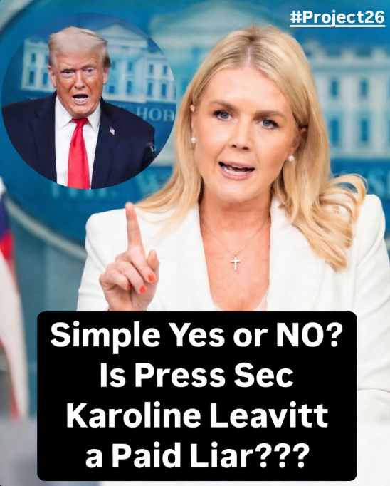 DonkConnects ♻️™ tweet media