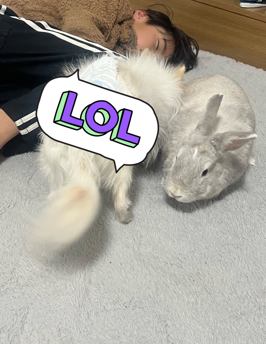 R...🎀❕ tweet media