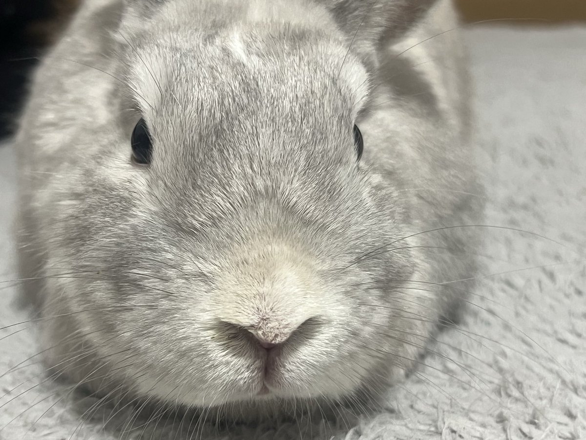 R...🎀❕ tweet media