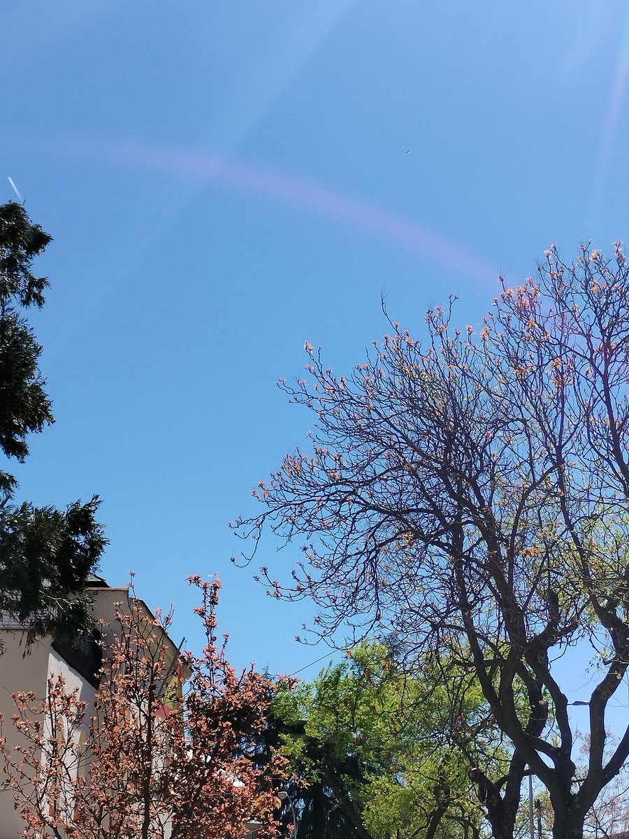 Scorsese tweet media