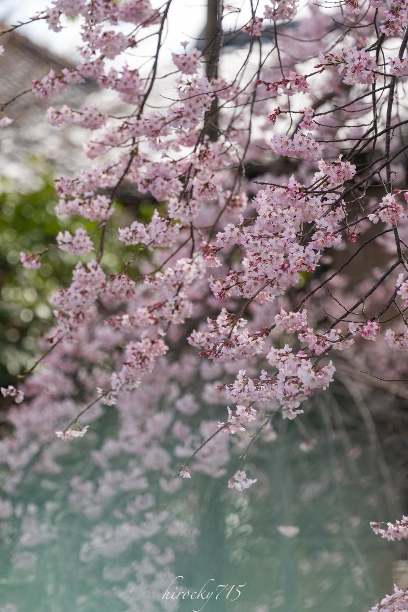 ヒロキ tweet media