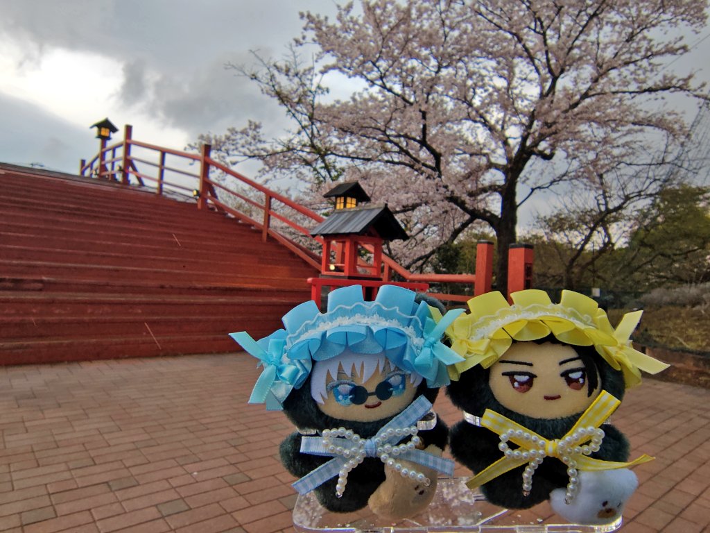 ひぃな✩ tweet media