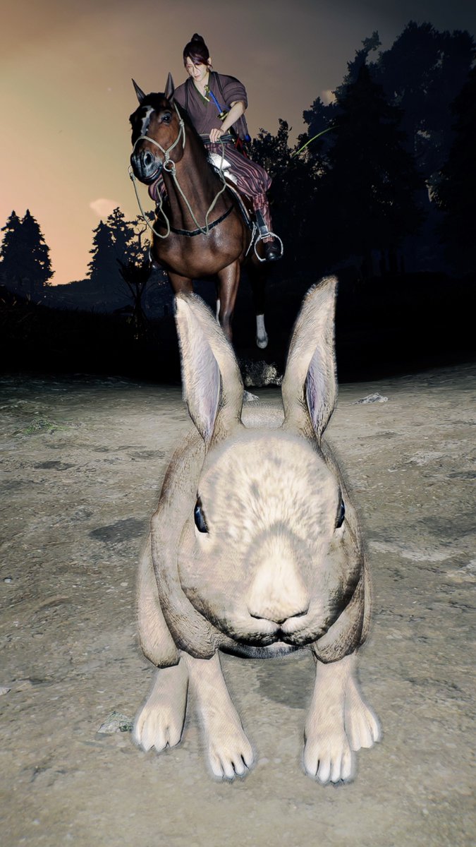 歯ブラシ🦷🪥 tweet media