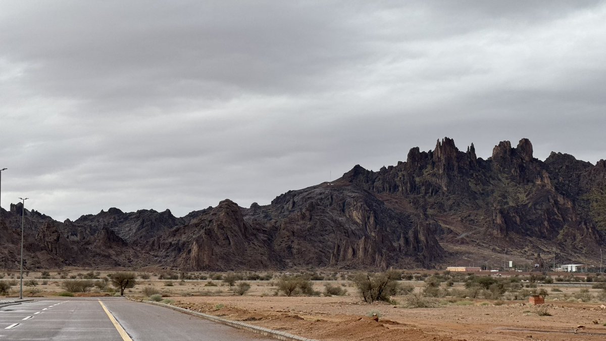 عابد tweet media