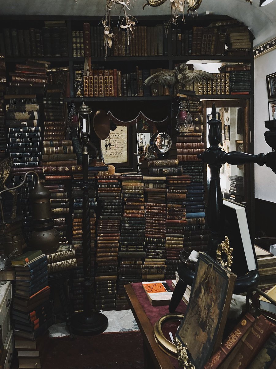 高円寺にあるArt&amp;Antiques LECURIO（ルキュリオ）は天文学や錬金術をテーマに集められたアンティークと作家作品を取り扱うお店。刺さる人にはたまらない空間です🪄