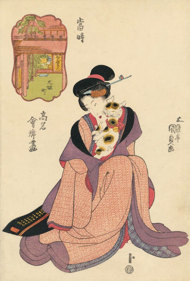 夜來香 yè lái xiāng tweet media