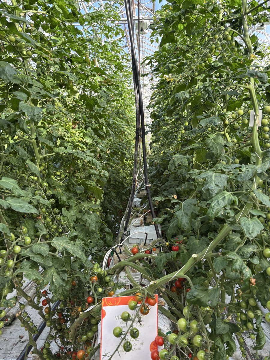 WyHighGeography tweet media