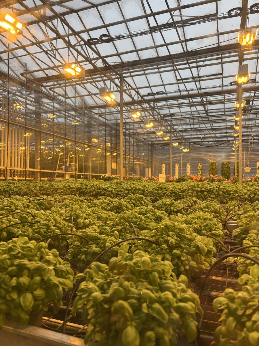 WyHighGeography tweet media