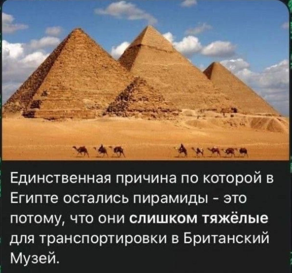 БоеваяZ 🐝 tweet media