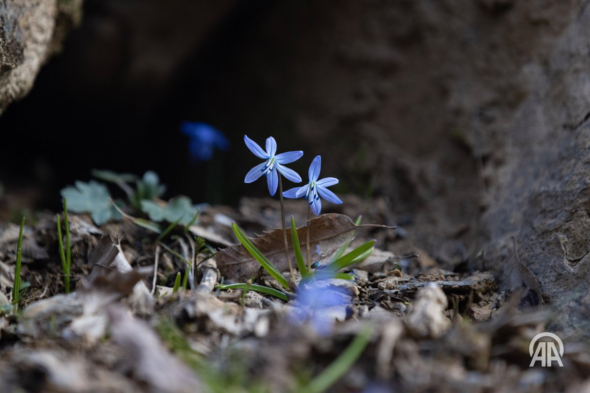 Sidar Eren tweet media