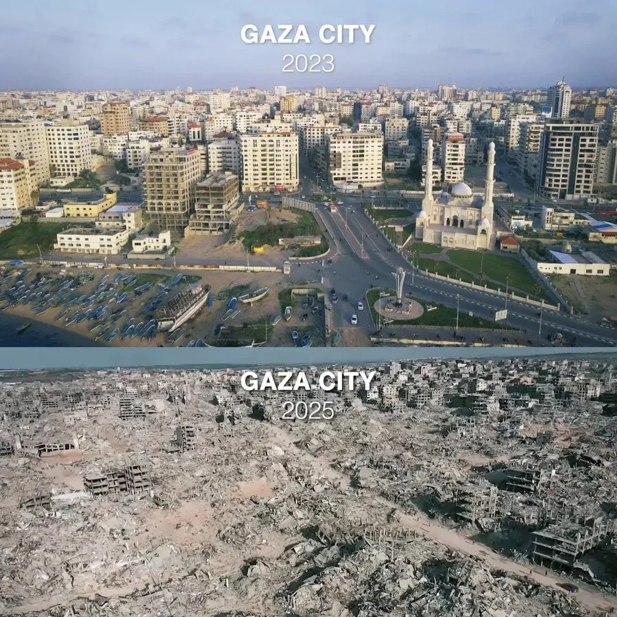 Porcupine Au Gratin tweet media