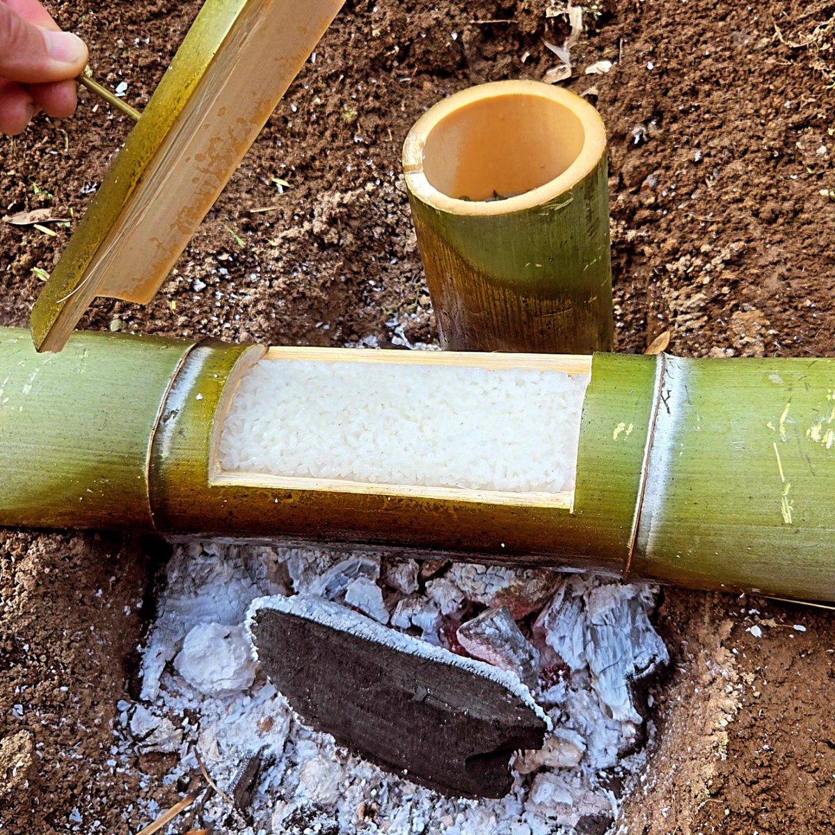 ちーとん。 tweet media