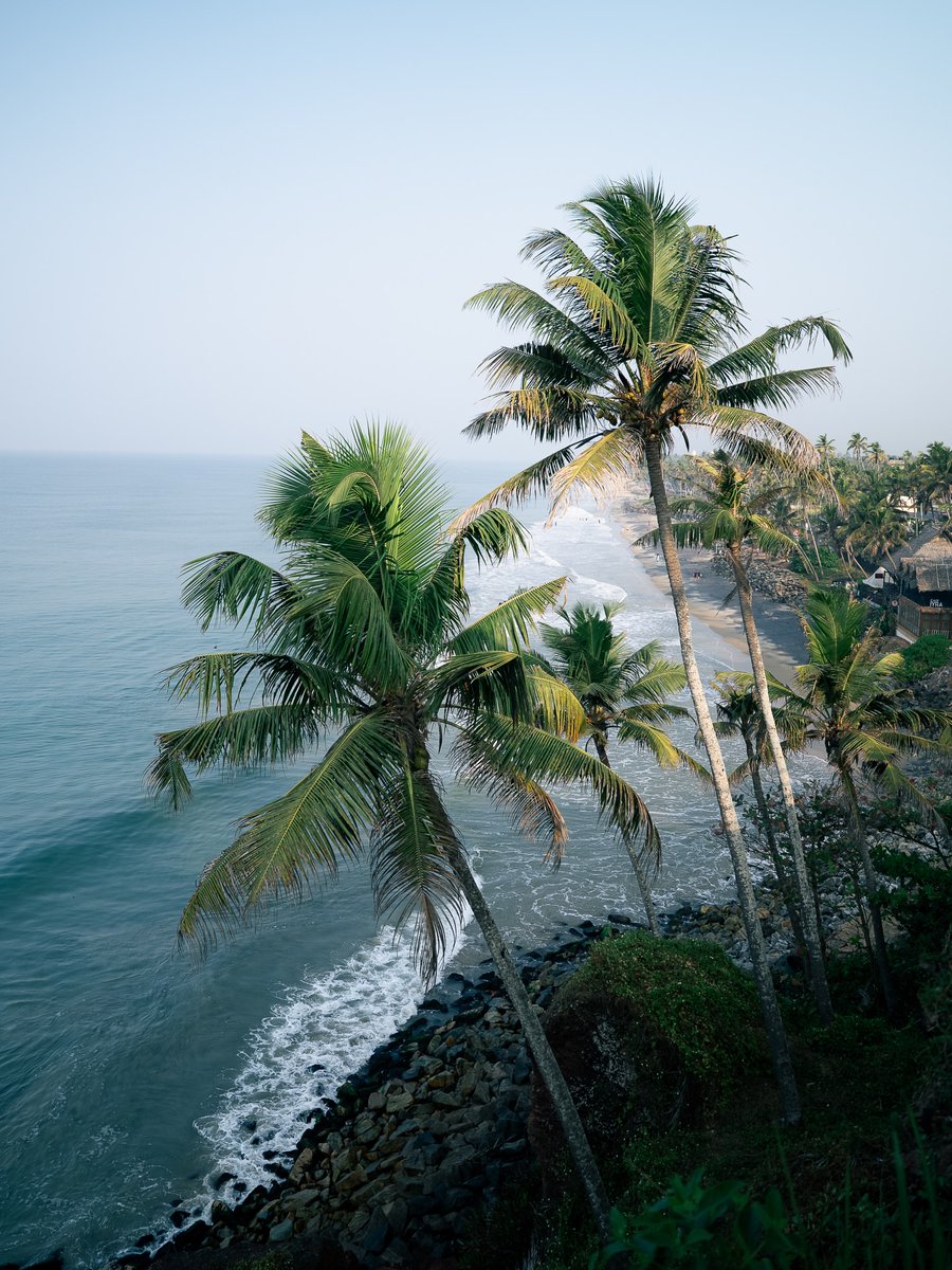 The World tweet media