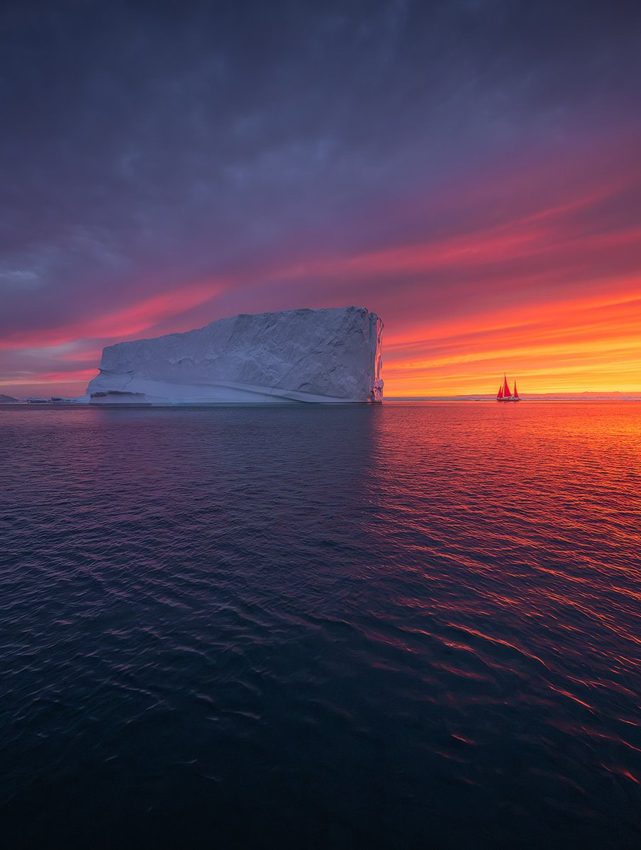 World Best tweet media