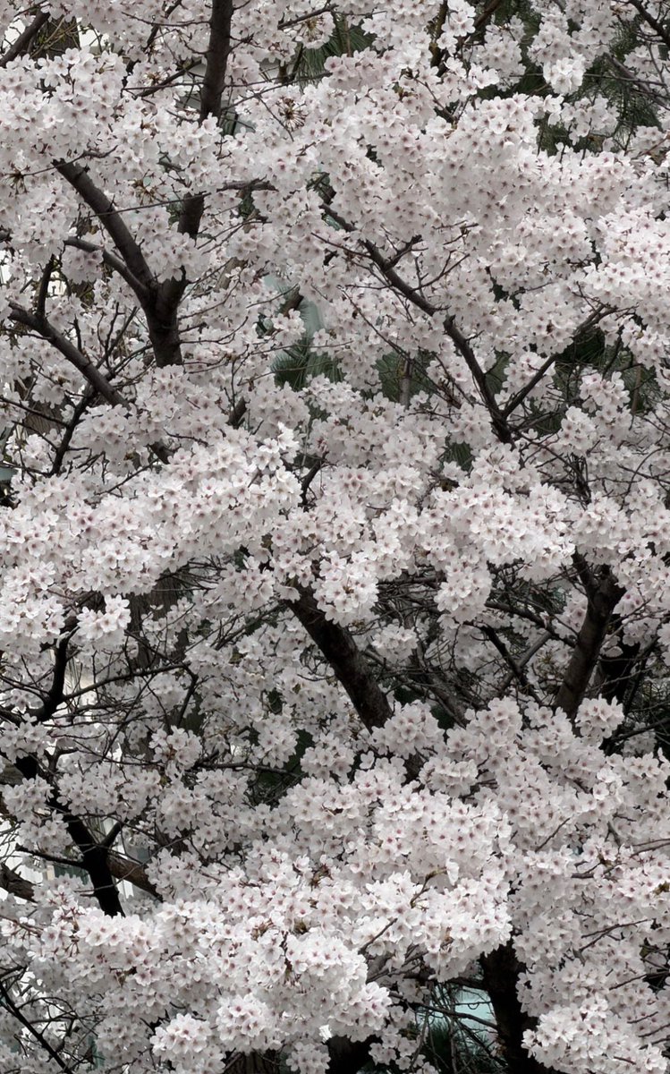 고민 없이 너를 사랑하게 된 이유
커다란 믿음을 주고
사소한 이야기 하나도 잊지 않고서
기억해 주는 너라서

아낌없이 널 사랑해 함께 걷는 모든 순간에 
어떤 날에도 곁에 있을게 

‘아낌없이 널 사랑해 함께 걷는 모든 순간에’
-아샤트리