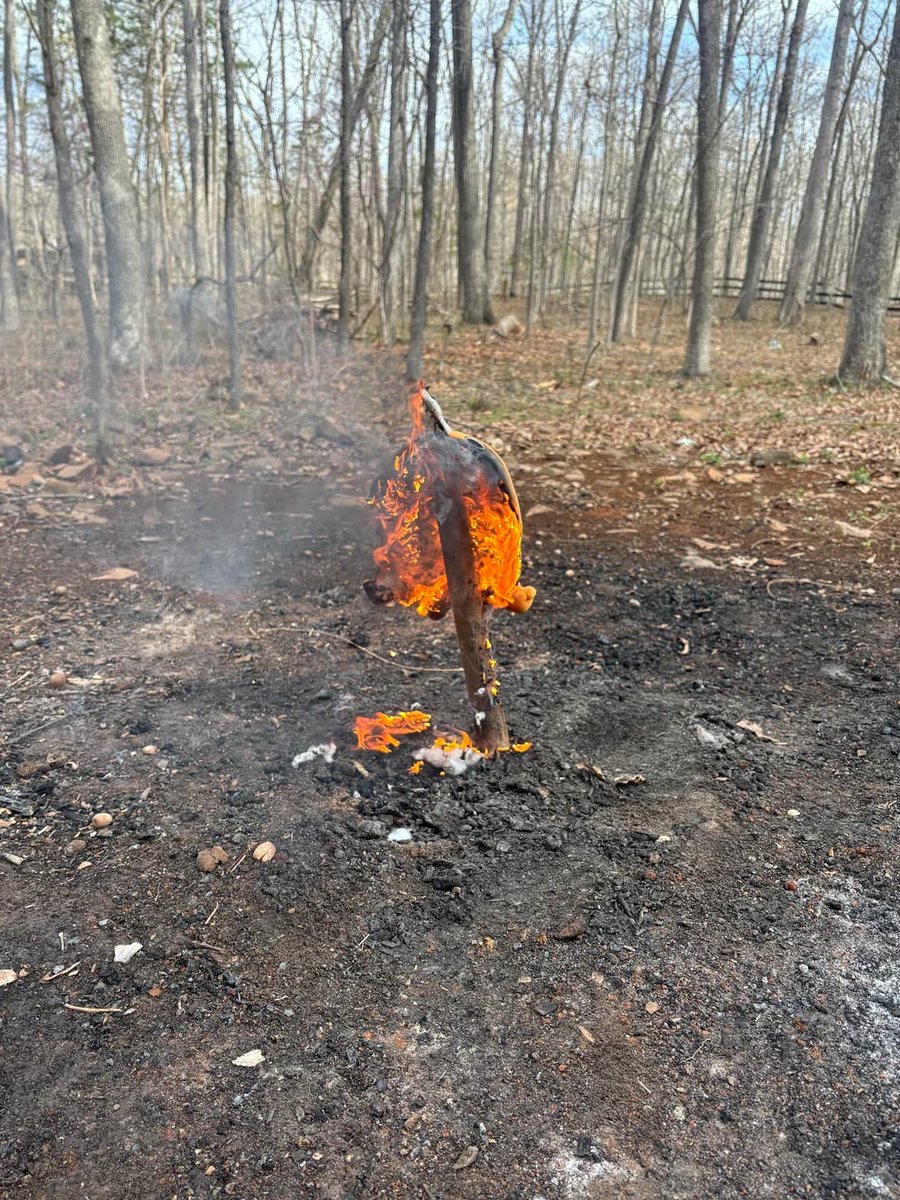 Animetrends tweet media