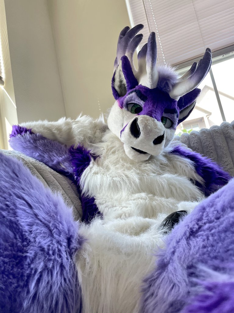 Toon 🔜 MFF tweet media