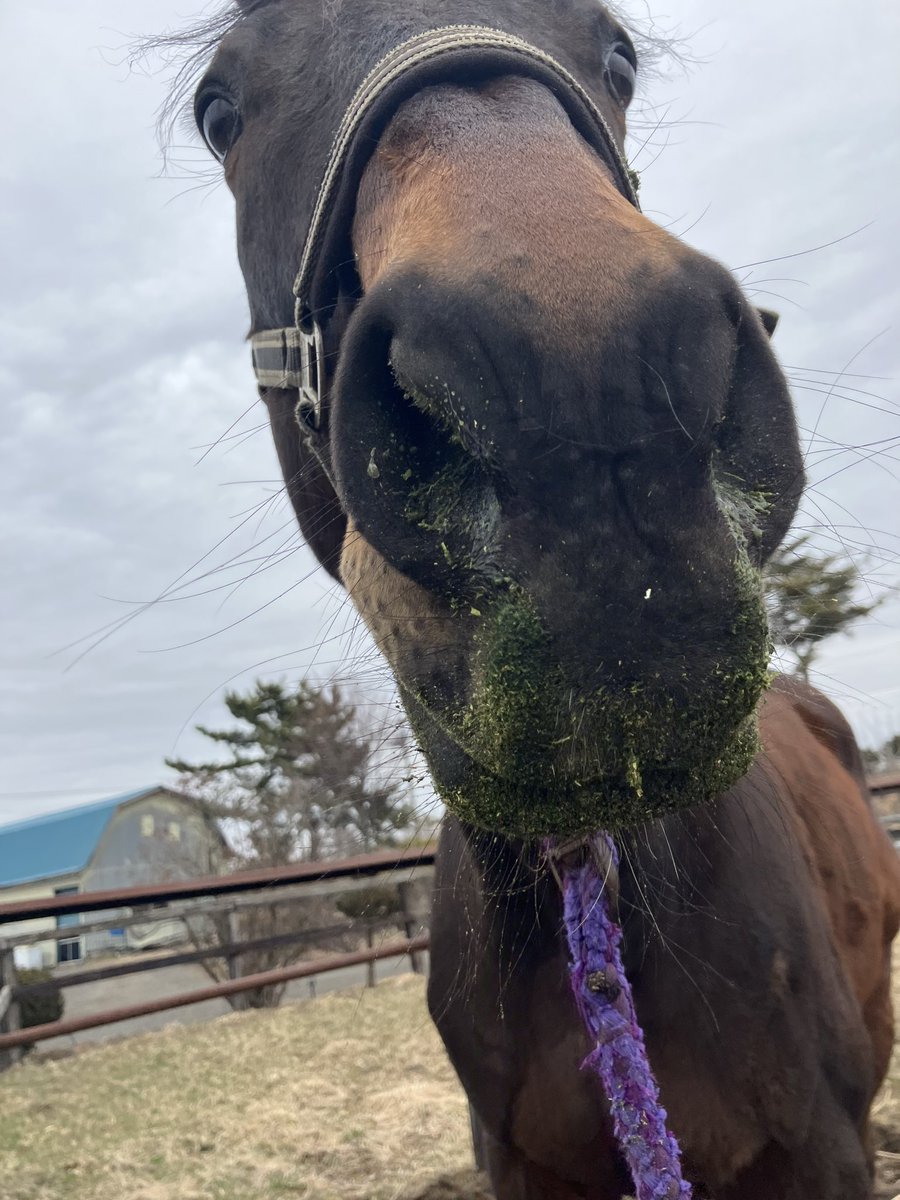 MTHケイムズ tweet media