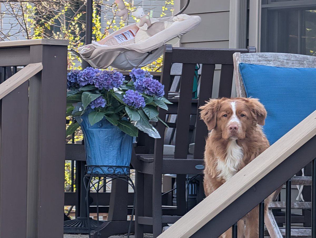 Reasonable Man 🇺🇸 tweet media