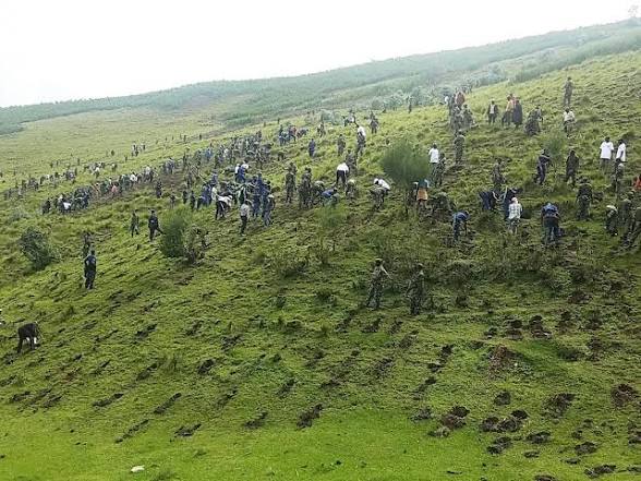 Mucowintore Félicité tweet media