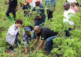 Mucowintore Félicité tweet media