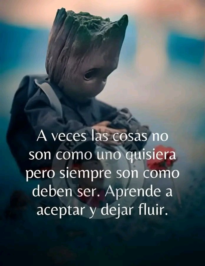 hildegar mujica tweet media