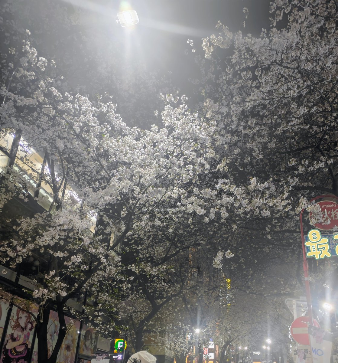 うたたん歌汰 tweet media