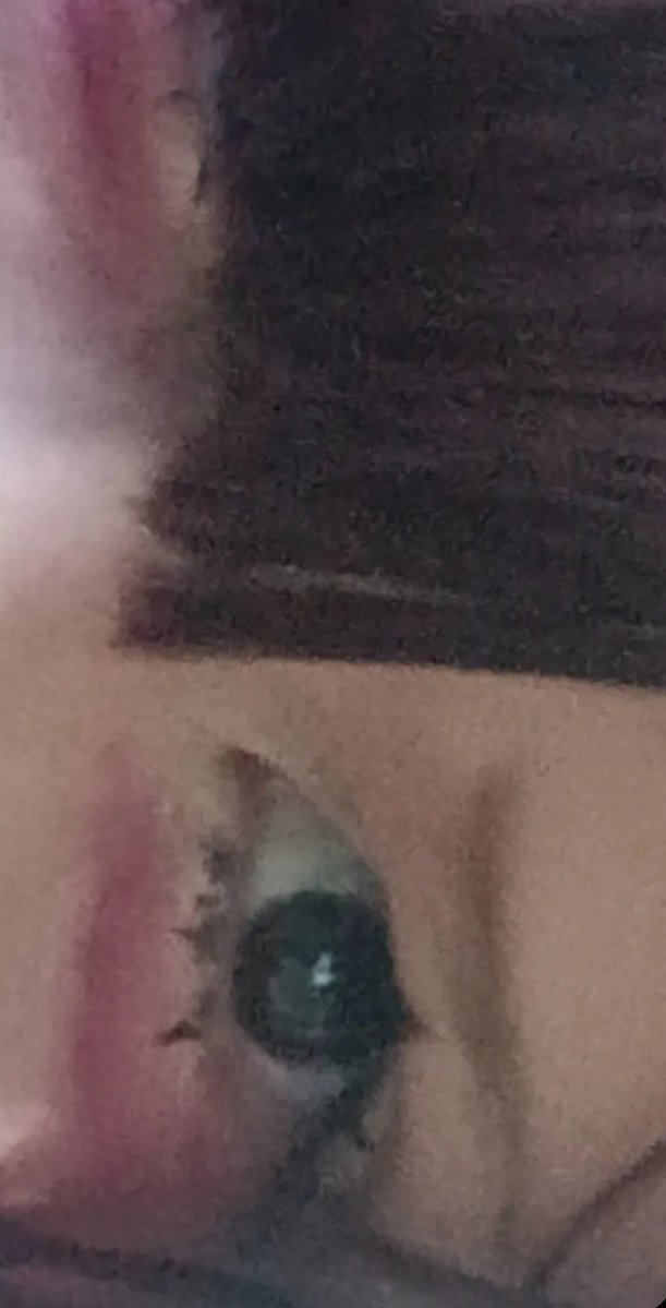 ୨୧ fuzαrkαα 🩸 tweet media