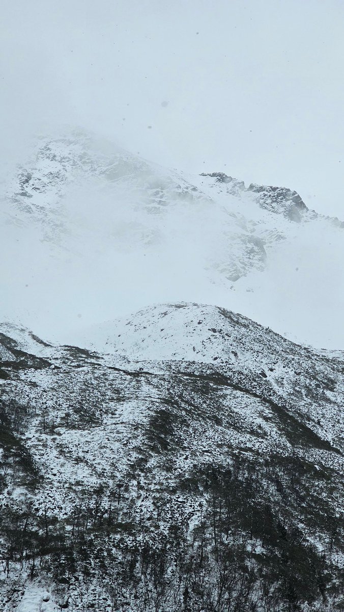 뿍빡bbuk(🌸) tweet media