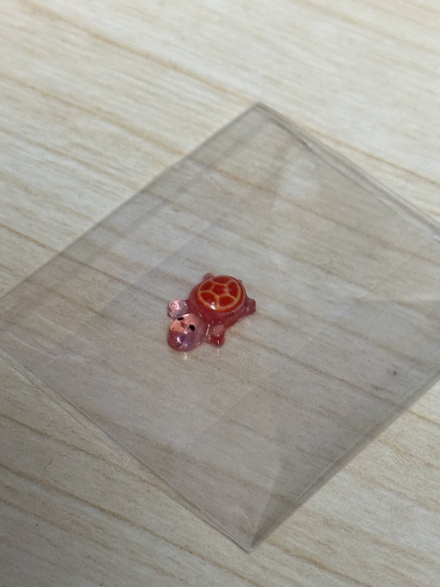 🍎🐰🐻 tweet media