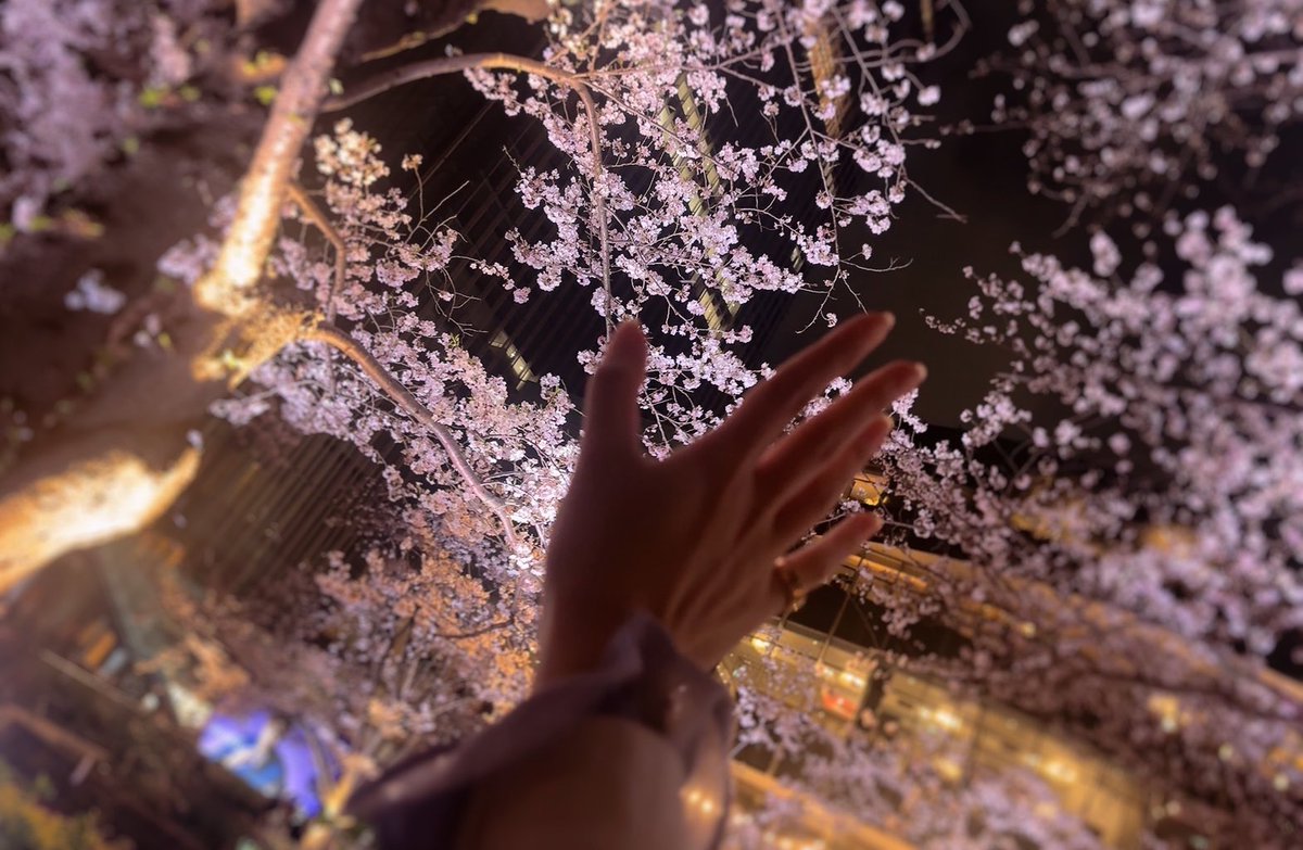 どっかの｜毎日戦う女社長🐣 tweet media