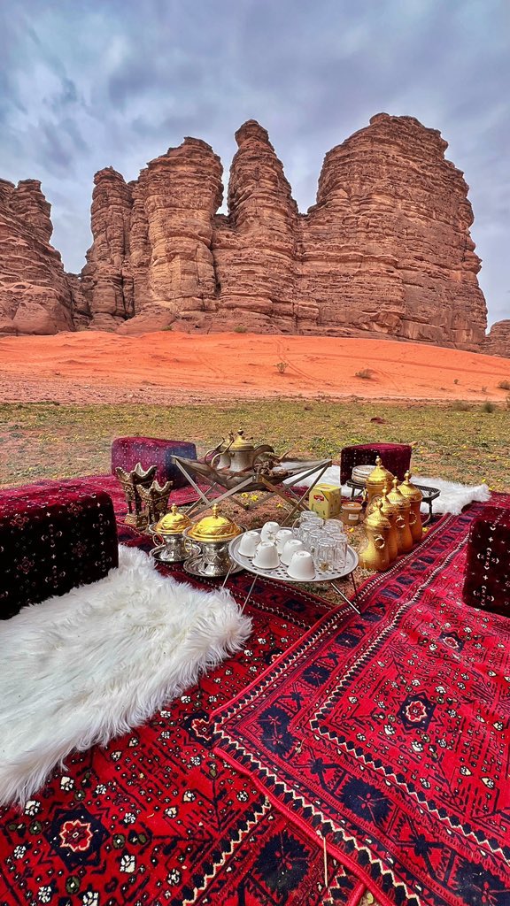 المملكة tweet media