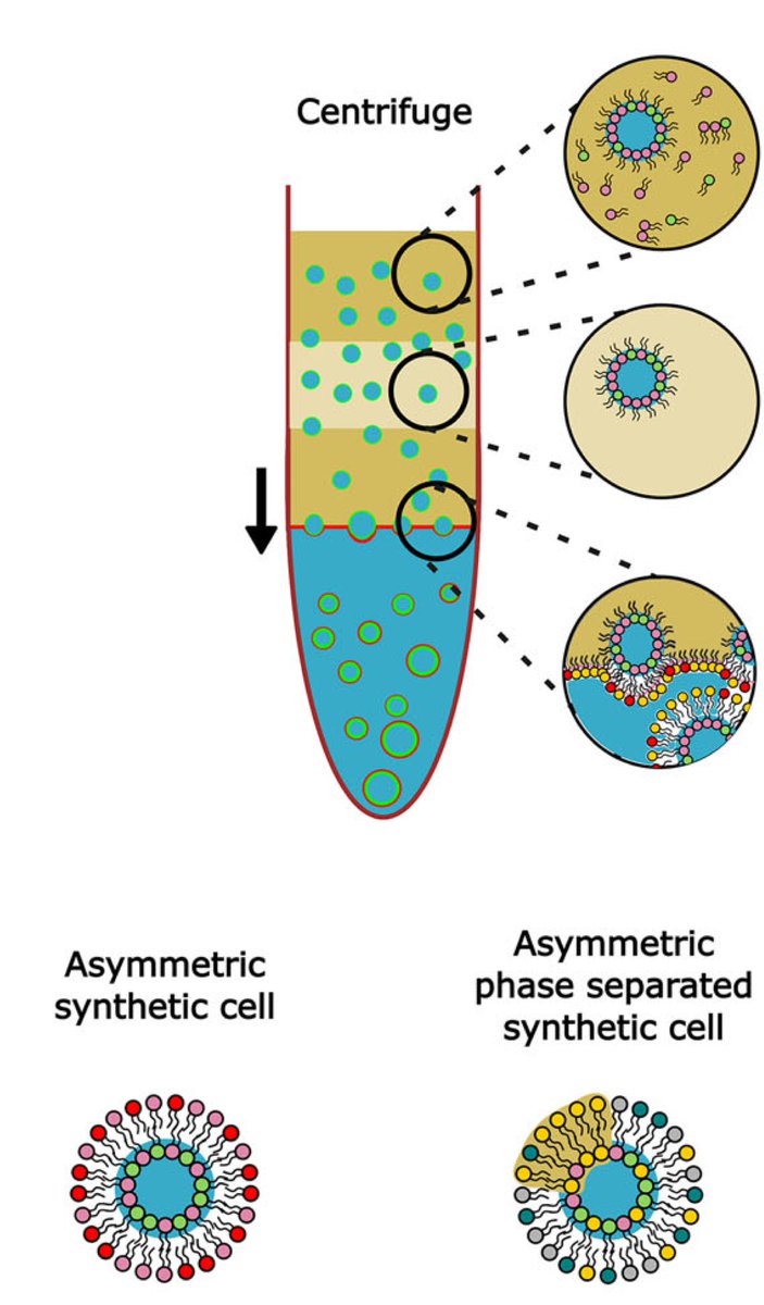 Robinson Lab tweet media
