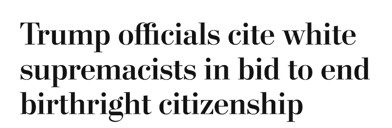 Tim Wise tweet media