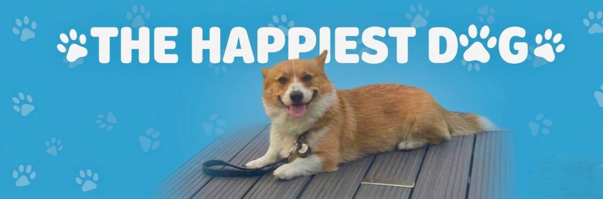 kahuna stark | dev. pnl. tweet media