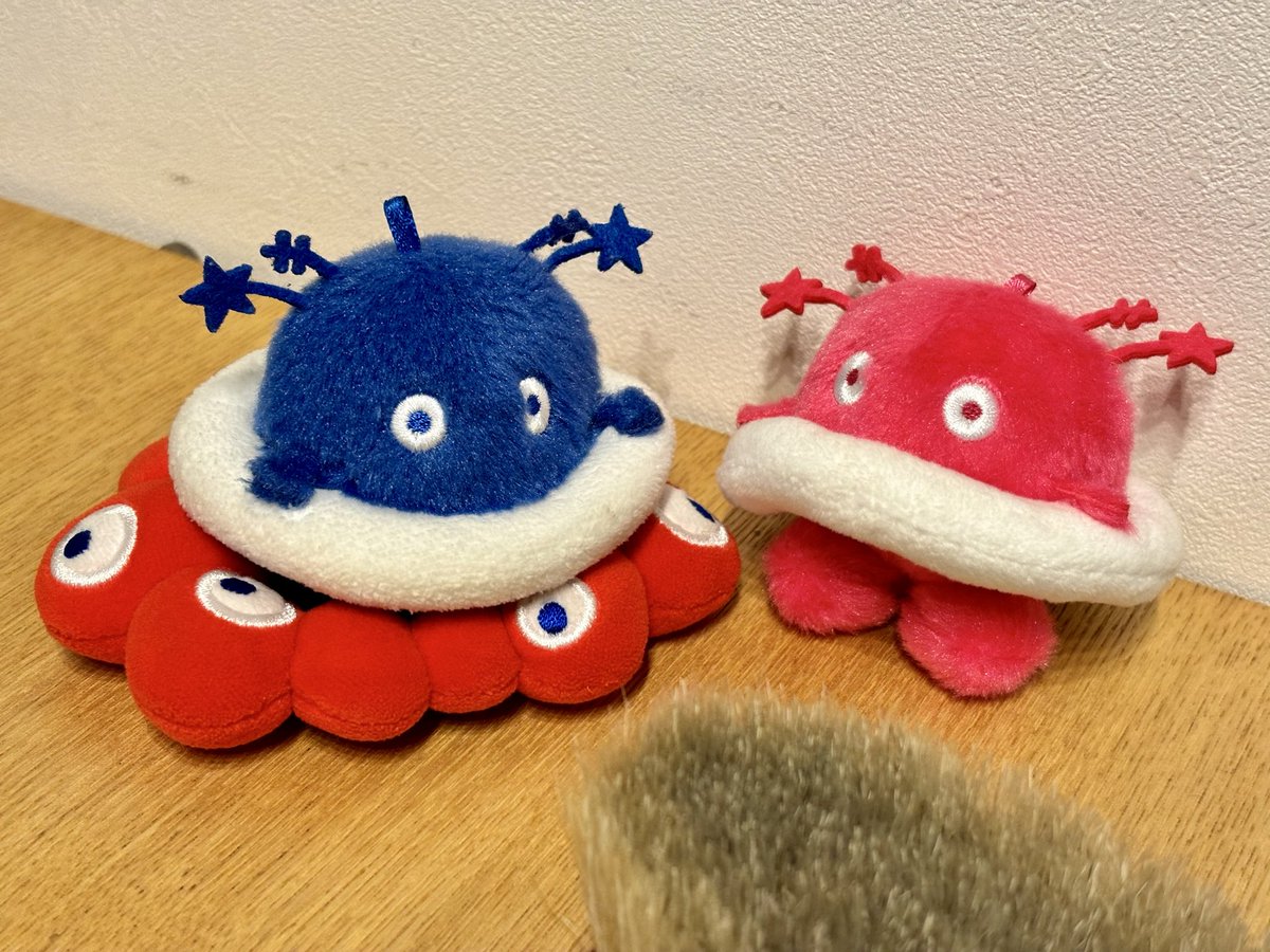 ミャク&星丸 tweet media