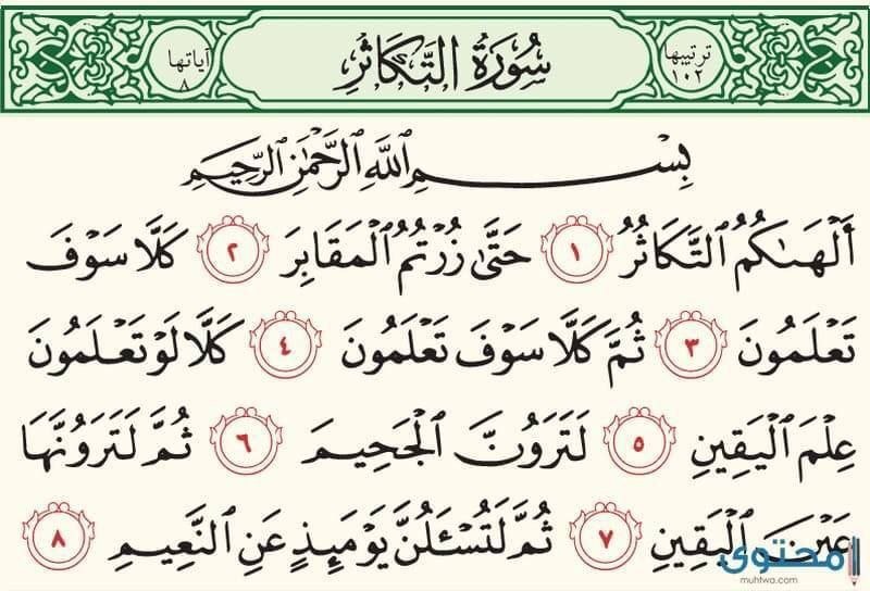 شیماء علي tweet media