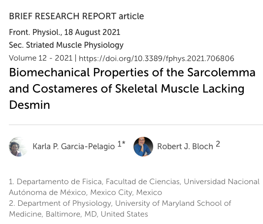 David Gómez tweet media