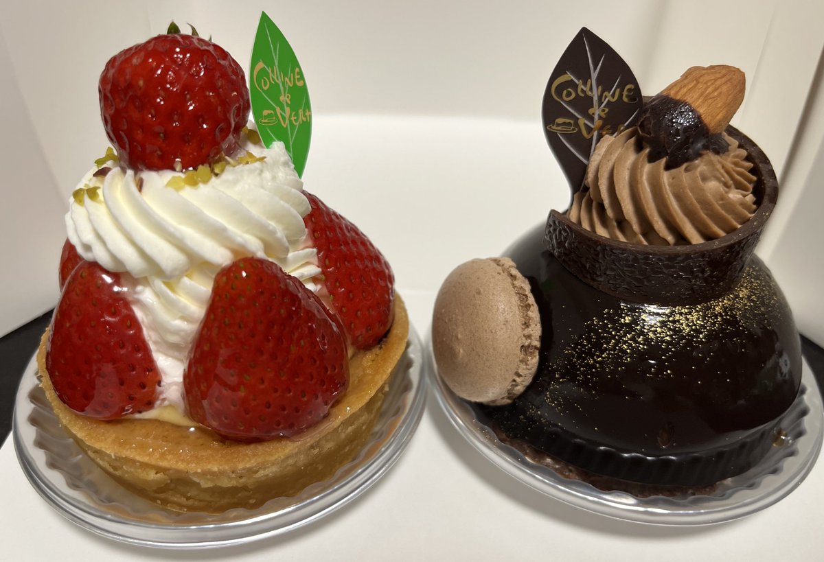 まむたろ tweet media